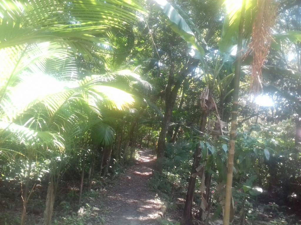 Recanto Da Kaka Ilha do Mel Ngoại thất bức ảnh